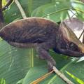 small_img_3649.jpg