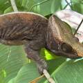 small_img_3651.jpg