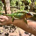 small_img_3656.jpg