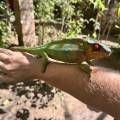 small_img_3657.jpg