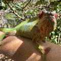 small_img_3658.jpg