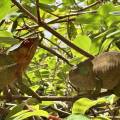 small_img_3659.jpg