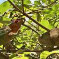 small_img_3660.jpg