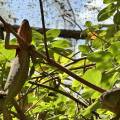 small_img_3661.jpg