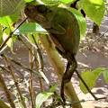 small_img_3662.jpg