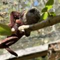 small_img_3663.jpg