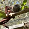 small_img_3664.jpg