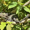 small_img_3665.jpg