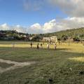 small_img_3676.jpg