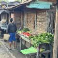 small_img_3682.jpg