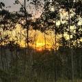 small_img_3685.jpg
