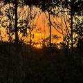 small_img_3686.jpg