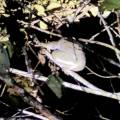 small_img_3689.jpg