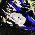 small_img_3690.jpg