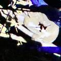 small_img_3692.jpg