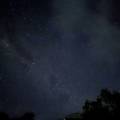 small_img_3694.jpg