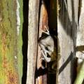 small_img_3695.jpg
