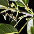 small_img_3696.jpg