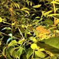 small_img_3700.jpg