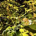 small_img_3702.jpg