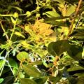 small_img_3703.jpg