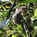 small_img_3704.jpg