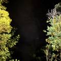 small_img_3707.jpg