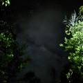 small_img_3709.jpg