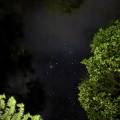 small_img_3710.jpg