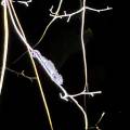 small_img_3712.jpg