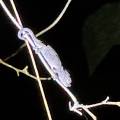 small_img_3713.jpg