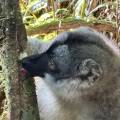 small_img_3729.jpg