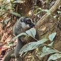 small_img_3735.jpg