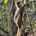 small_img_3741.jpg