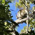 small_img_3743.jpg