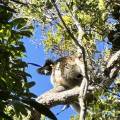 small_img_3748.jpg