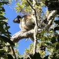 small_img_3749.jpg