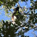 small_img_3757.jpg