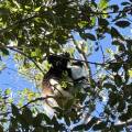 small_img_3758.jpg