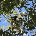 small_img_3759.jpg