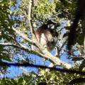 small_img_3769.jpg