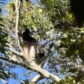 small_img_3775.jpg