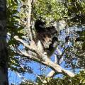 small_img_3777.jpg