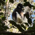 small_img_3803.jpg