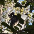 small_img_3811.jpg