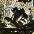 small_img_3812.jpg