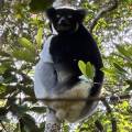 small_img_3817.jpg