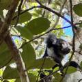 small_img_3820.jpg