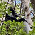 small_img_3822.jpg