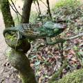 small_img_3833.jpg